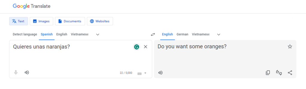 An image of a phrase in Spanish translated to English using Google Translate