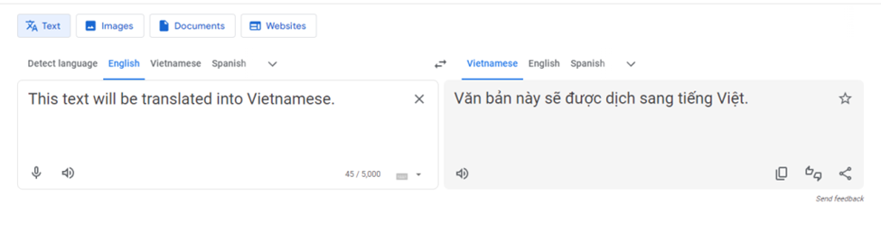 A line in English translated to Vietnamese using Google Translate